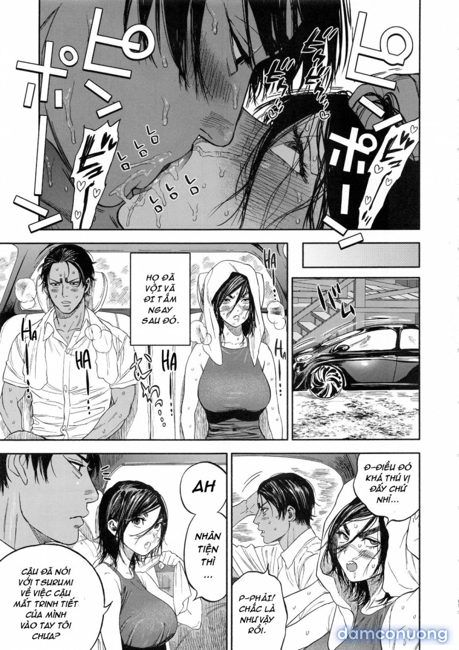 Koisugi 