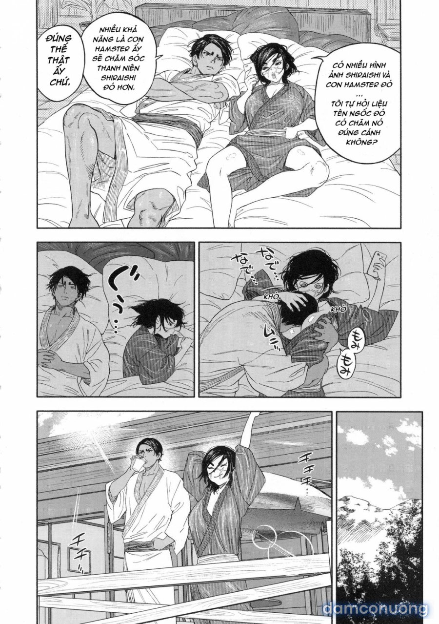 Koisugi 