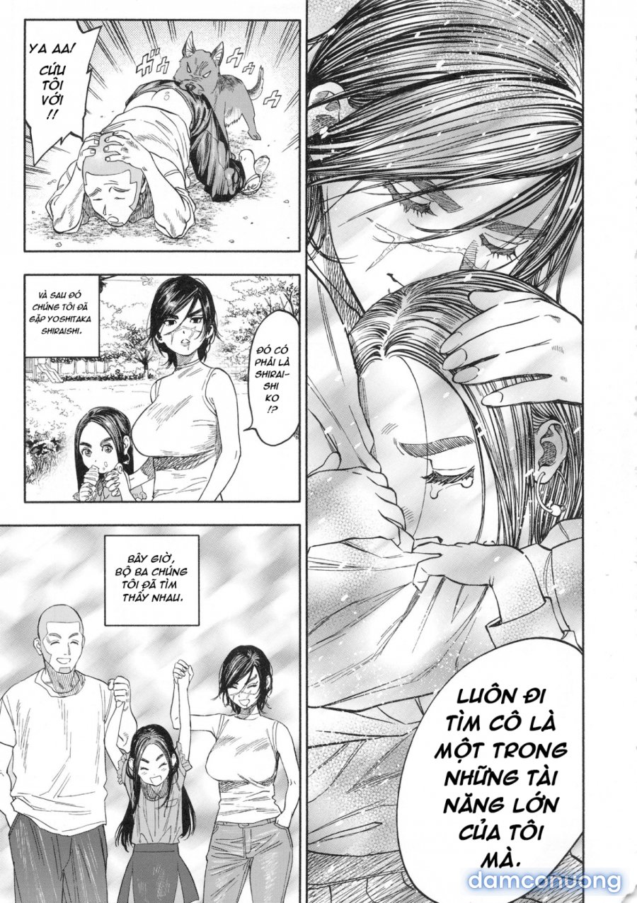 Koisugi 