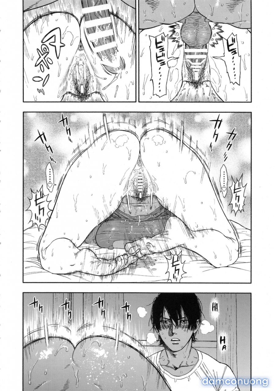 Koisugi 