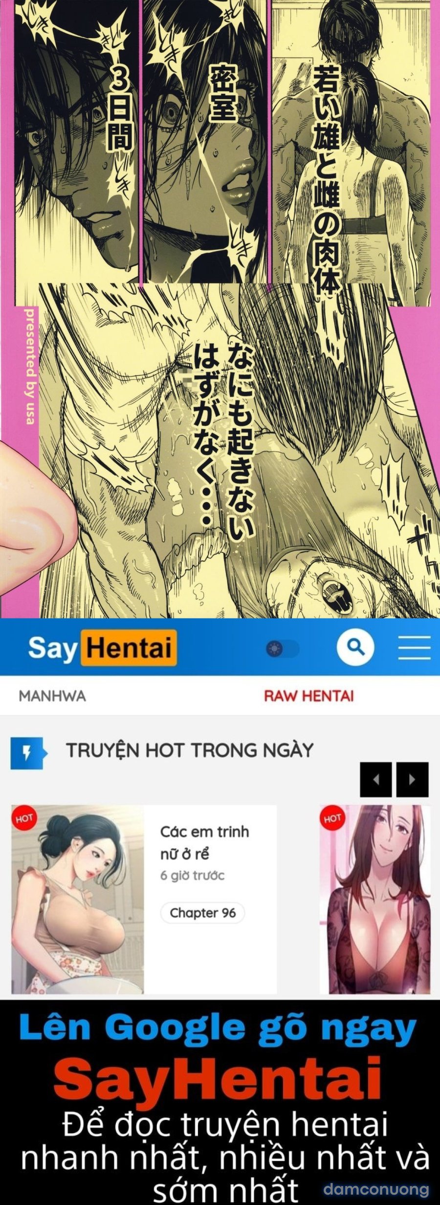 Koisugi 