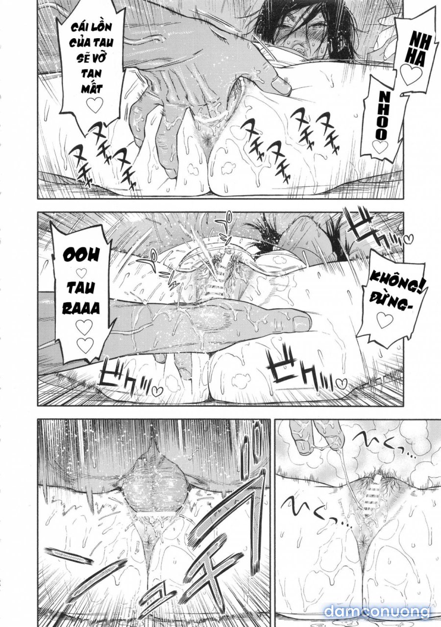 Koisugi 