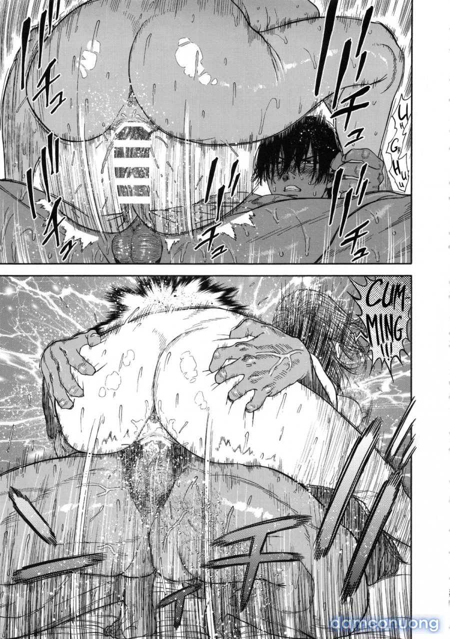 Koisugi 