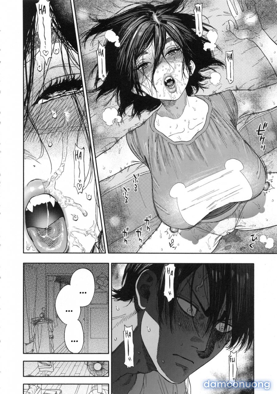 Koisugi 