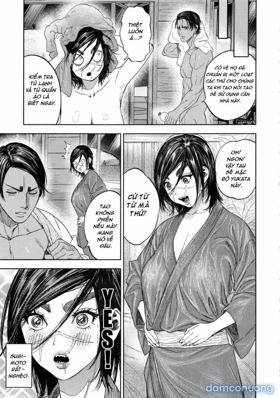 Koisugi 