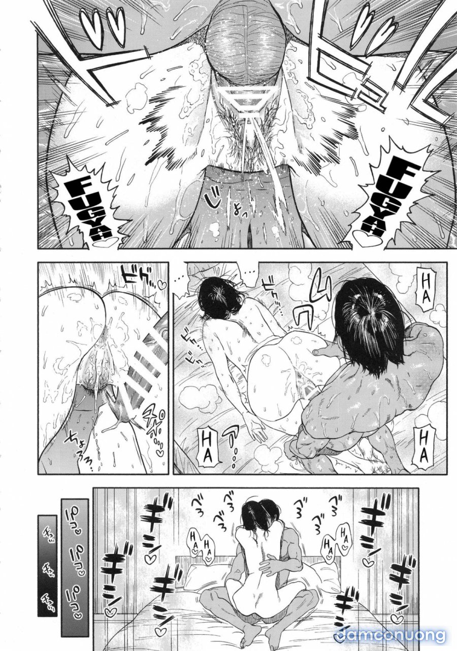 Koisugi 