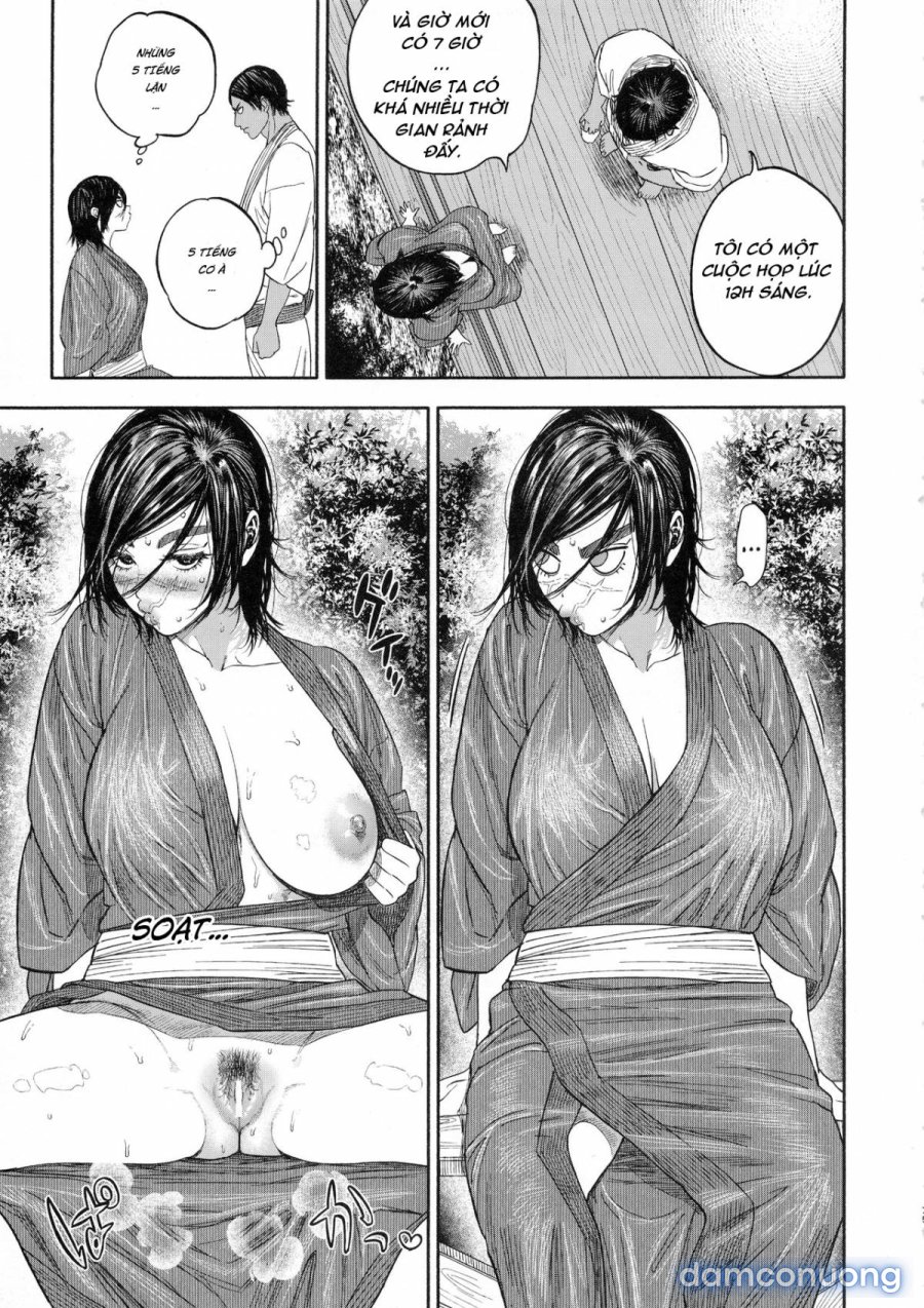 Koisugi 
