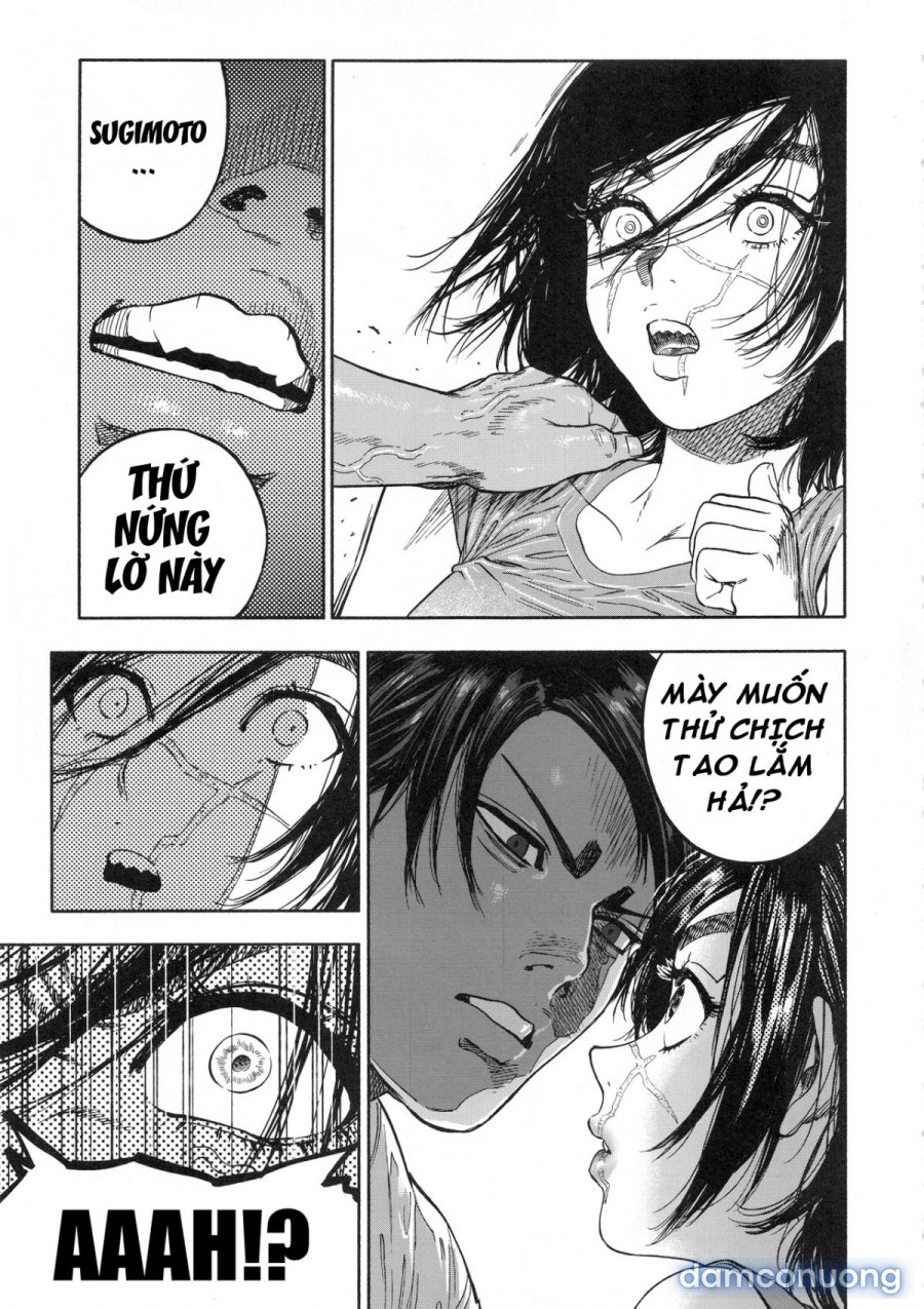 Koisugi 
