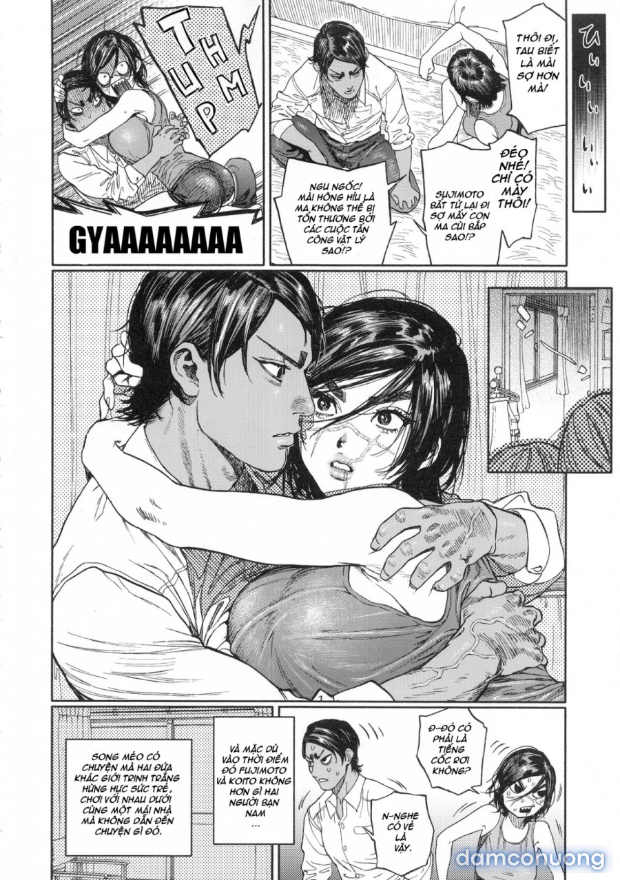 Koisugi 