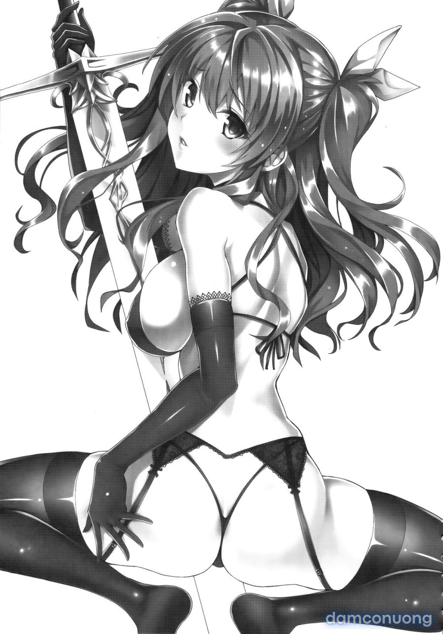Koumon kakumei Stella 