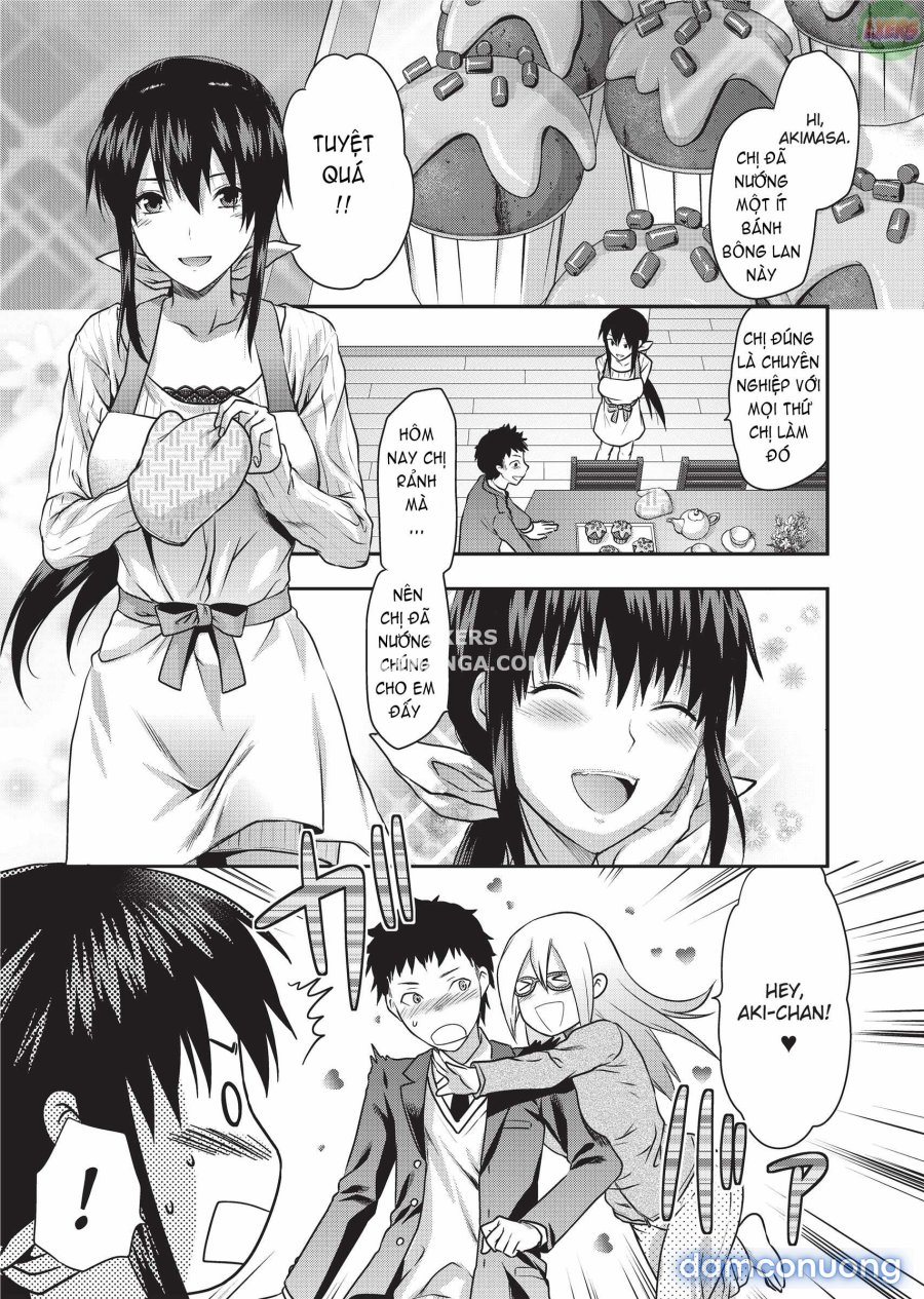 Ane Koi 