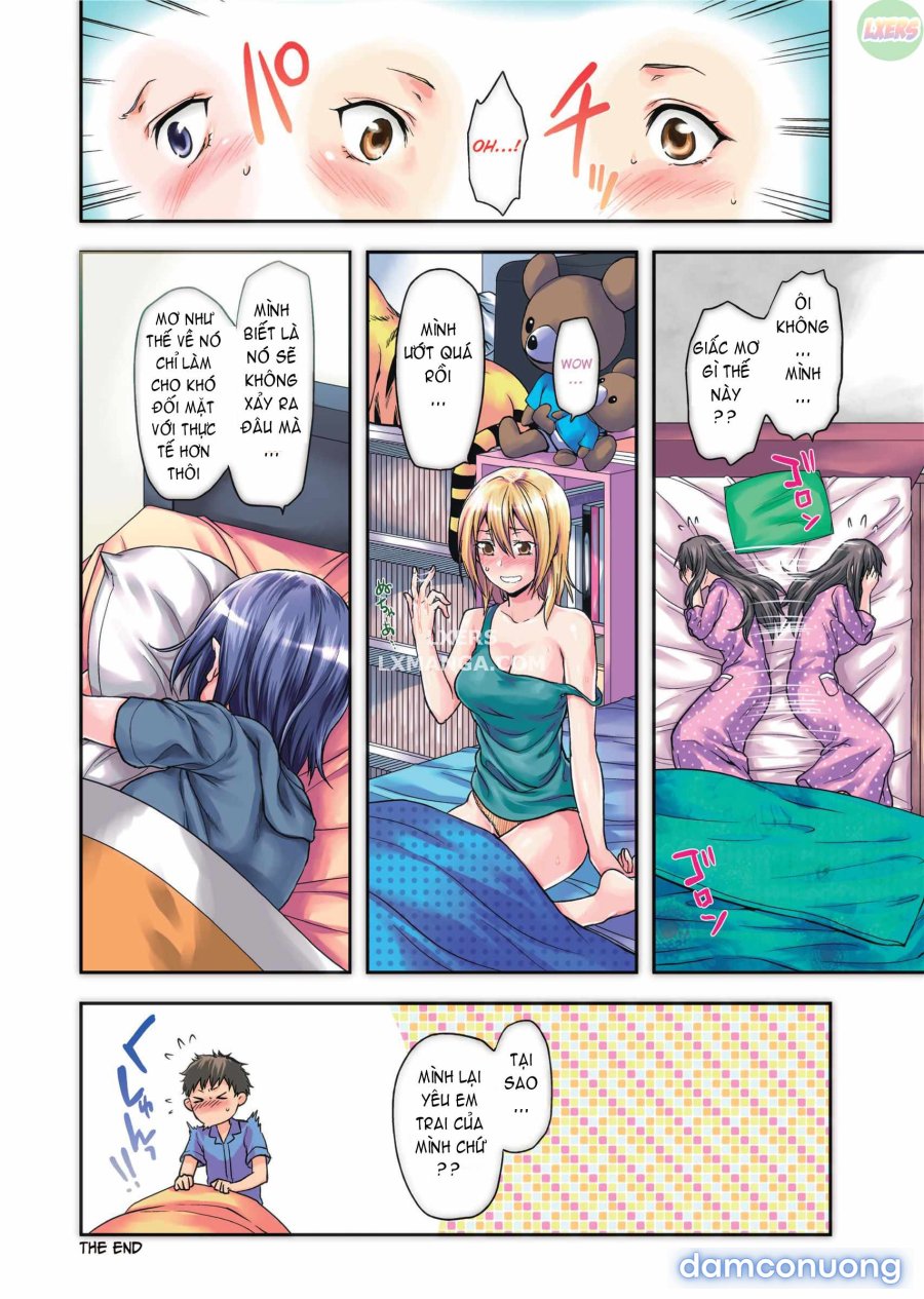 Ane Koi 