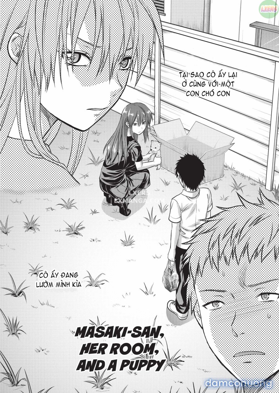 Ane Koi 