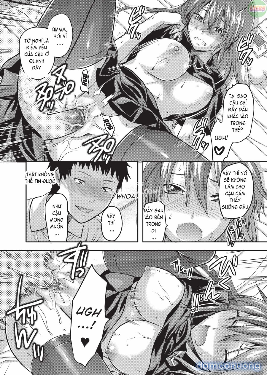 Ane Koi 