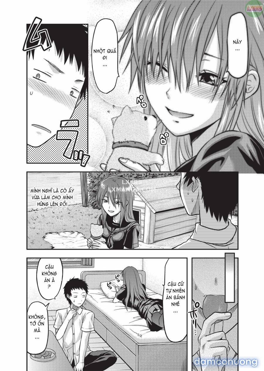 Ane Koi 