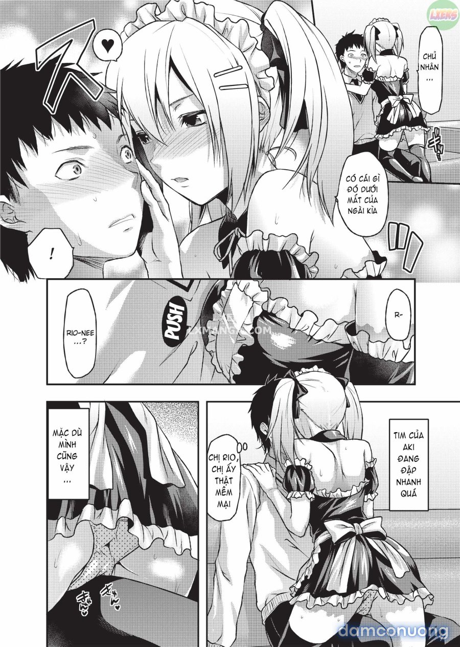 Ane Koi 