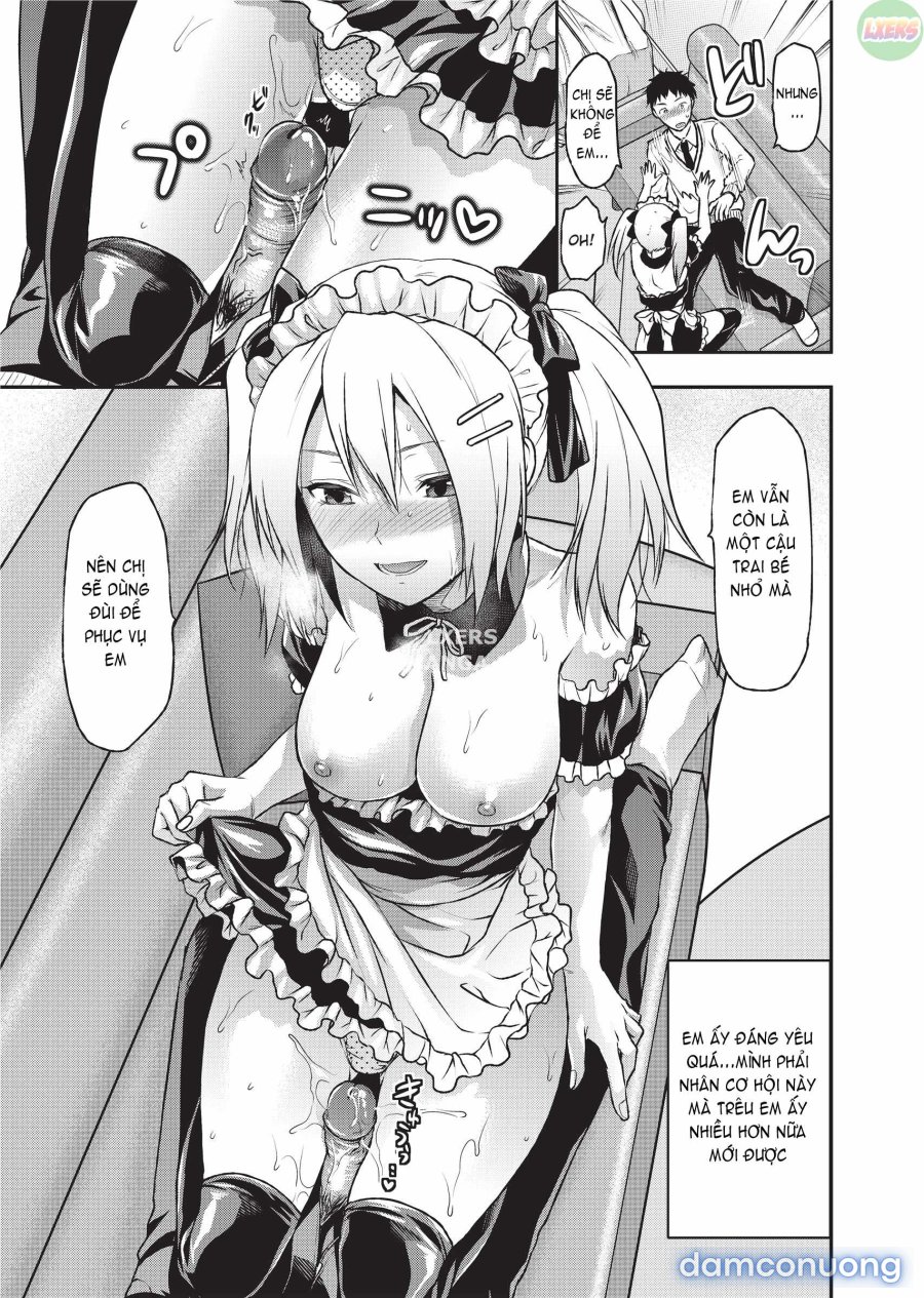 Ane Koi 