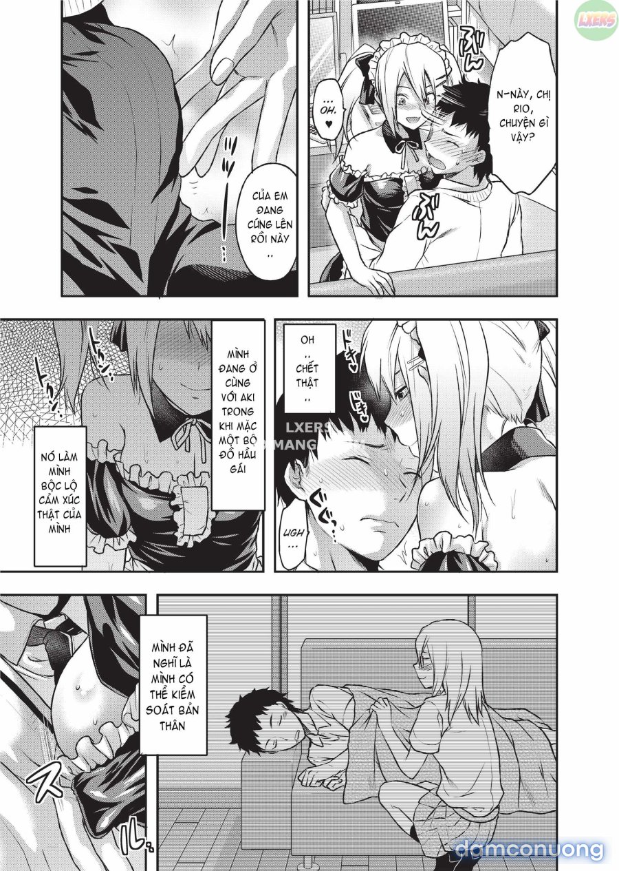 Ane Koi 