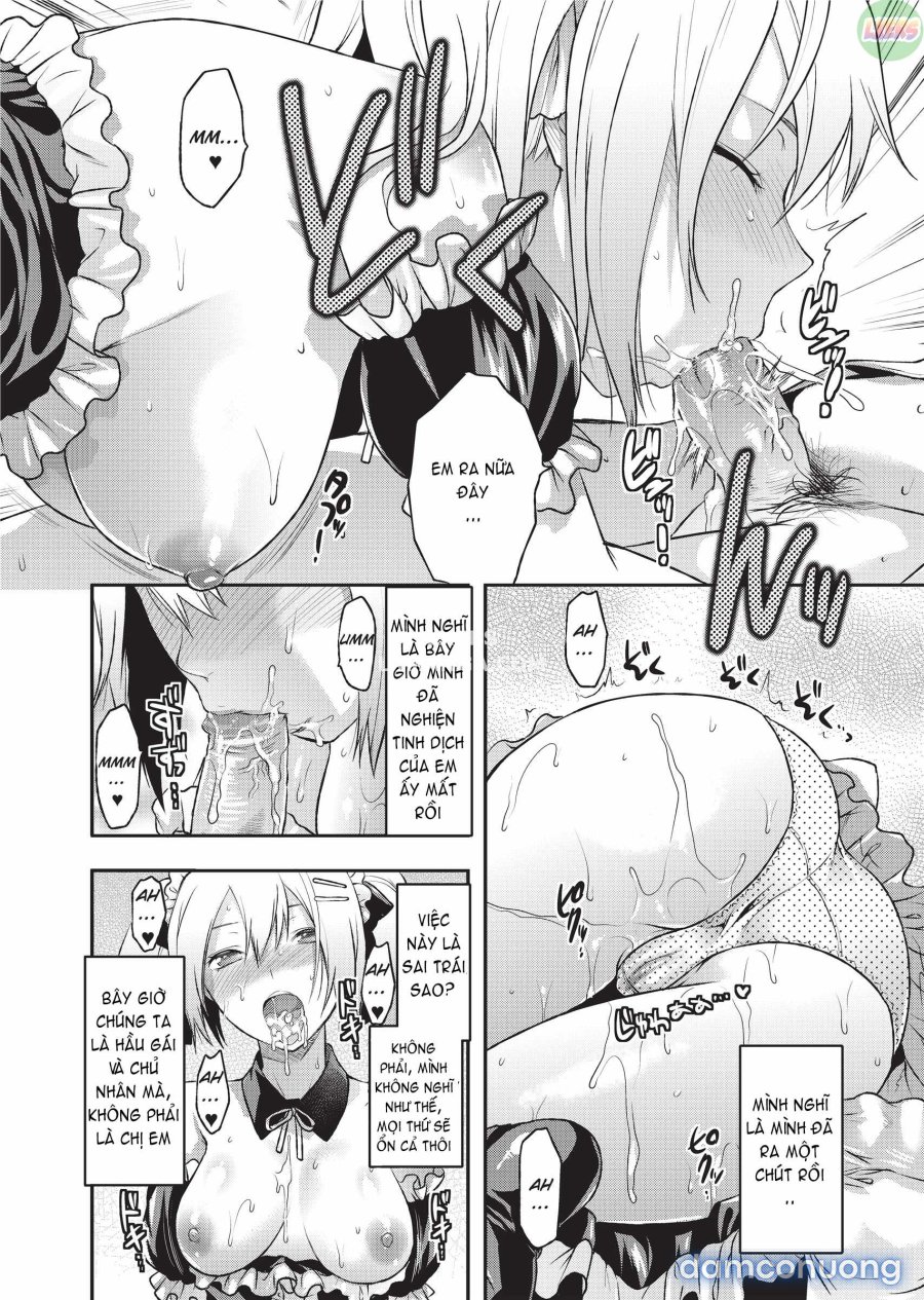 Ane Koi 