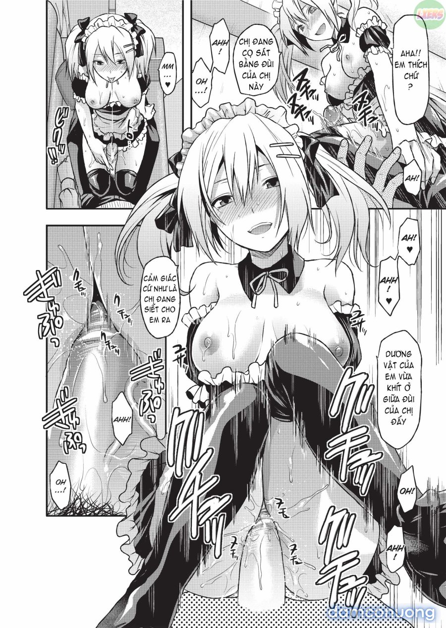 Ane Koi 