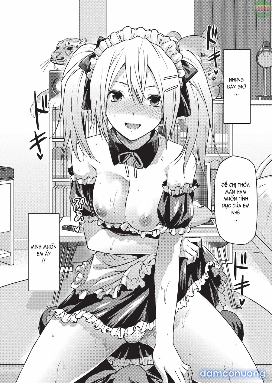 Ane Koi 