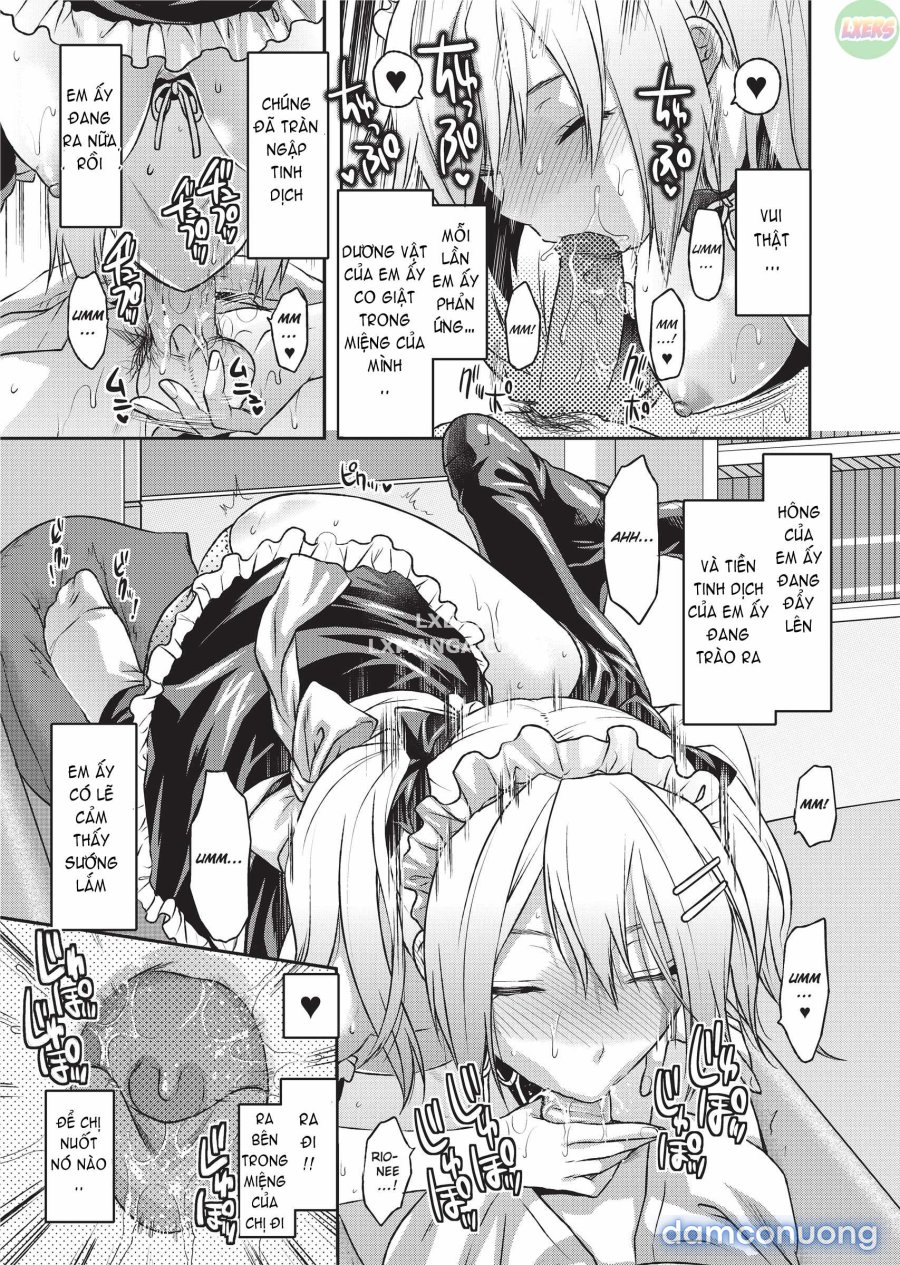 Ane Koi 