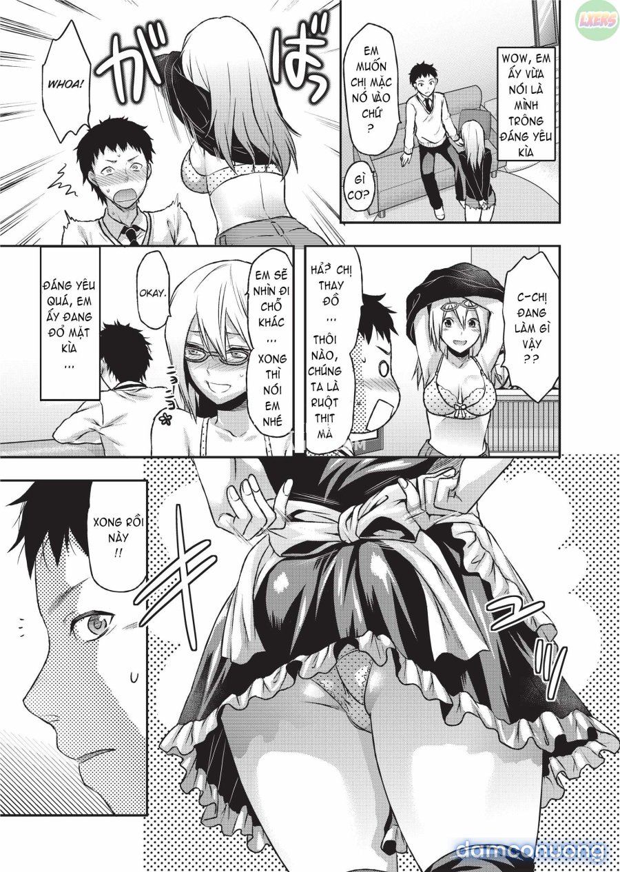 Ane Koi 