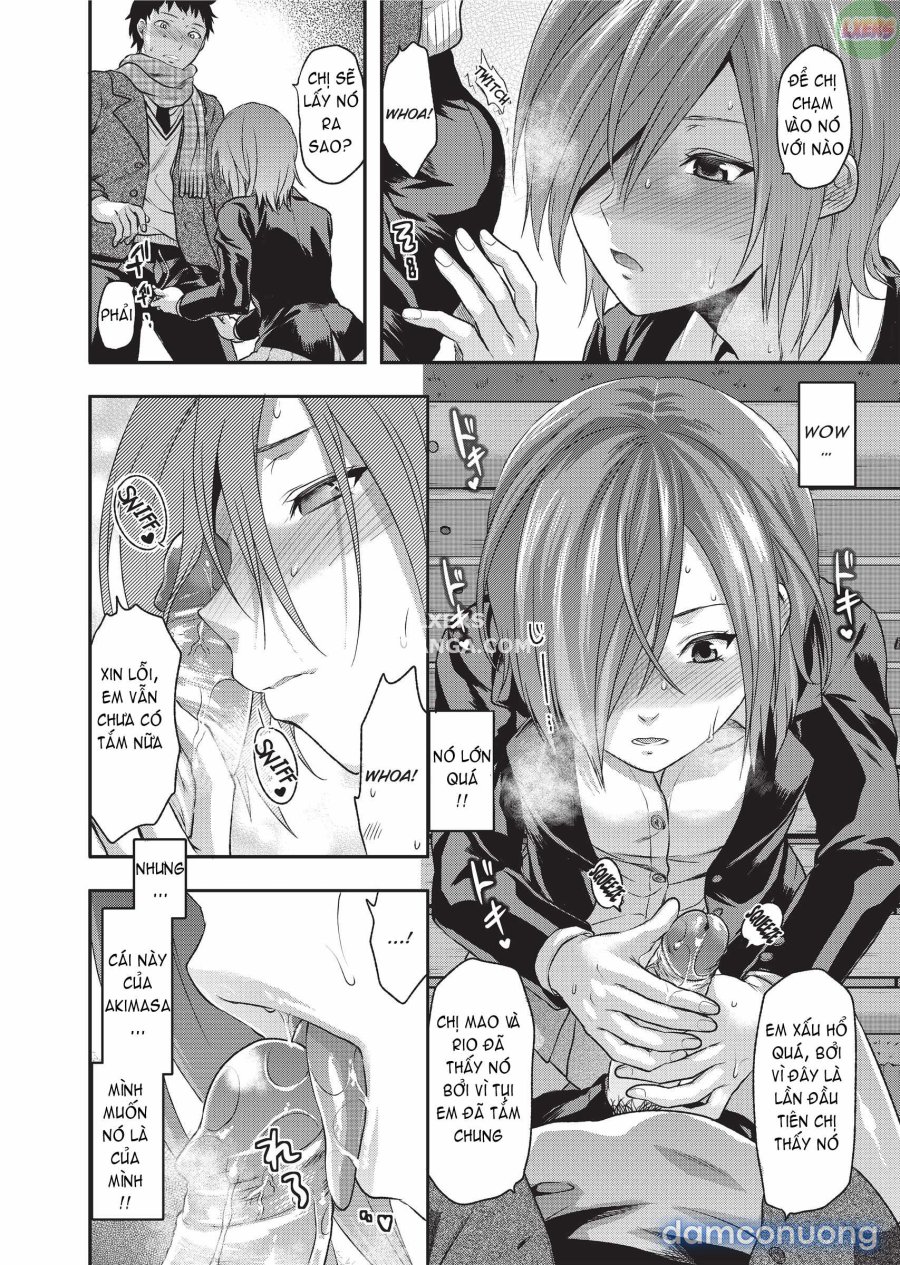 Ane Koi 