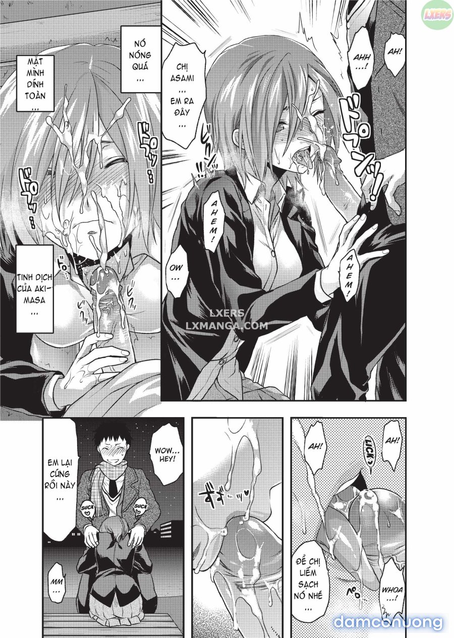 Ane Koi 