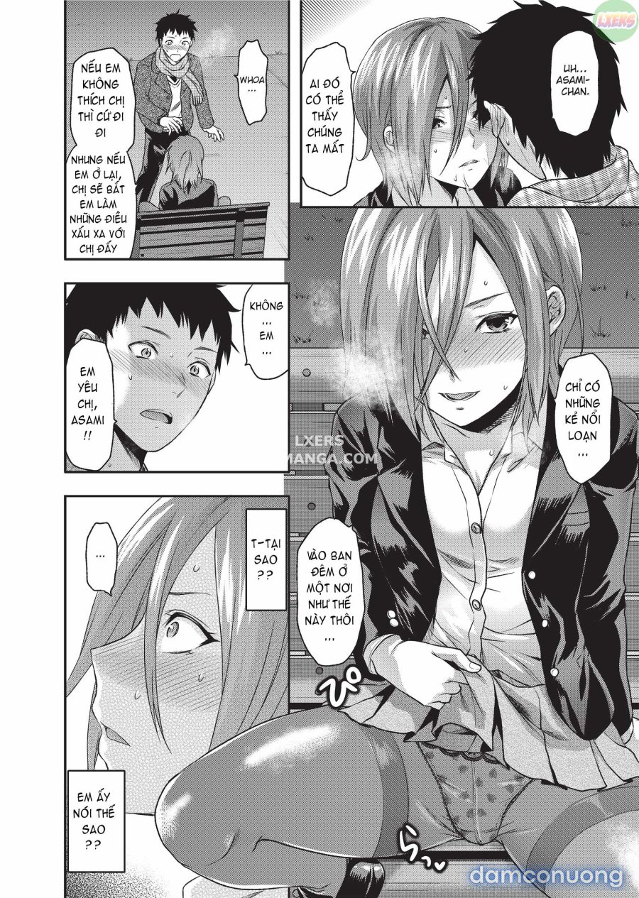 Ane Koi 