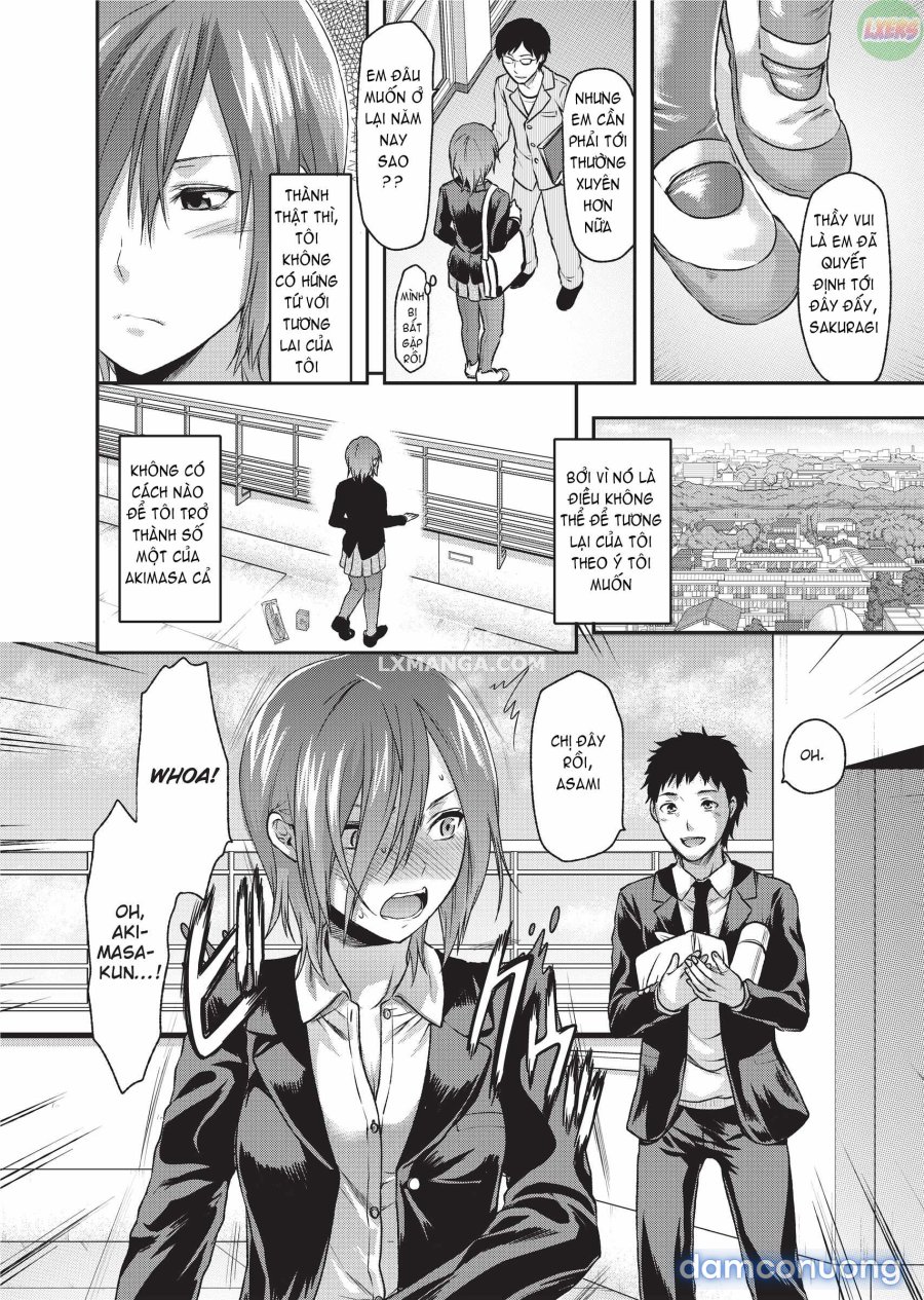 Ane Koi 