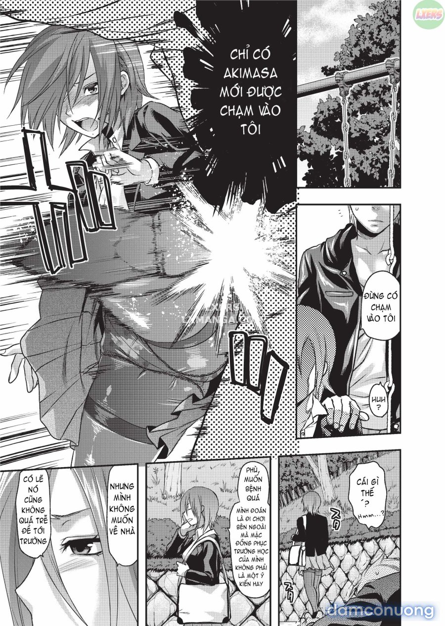 Ane Koi 