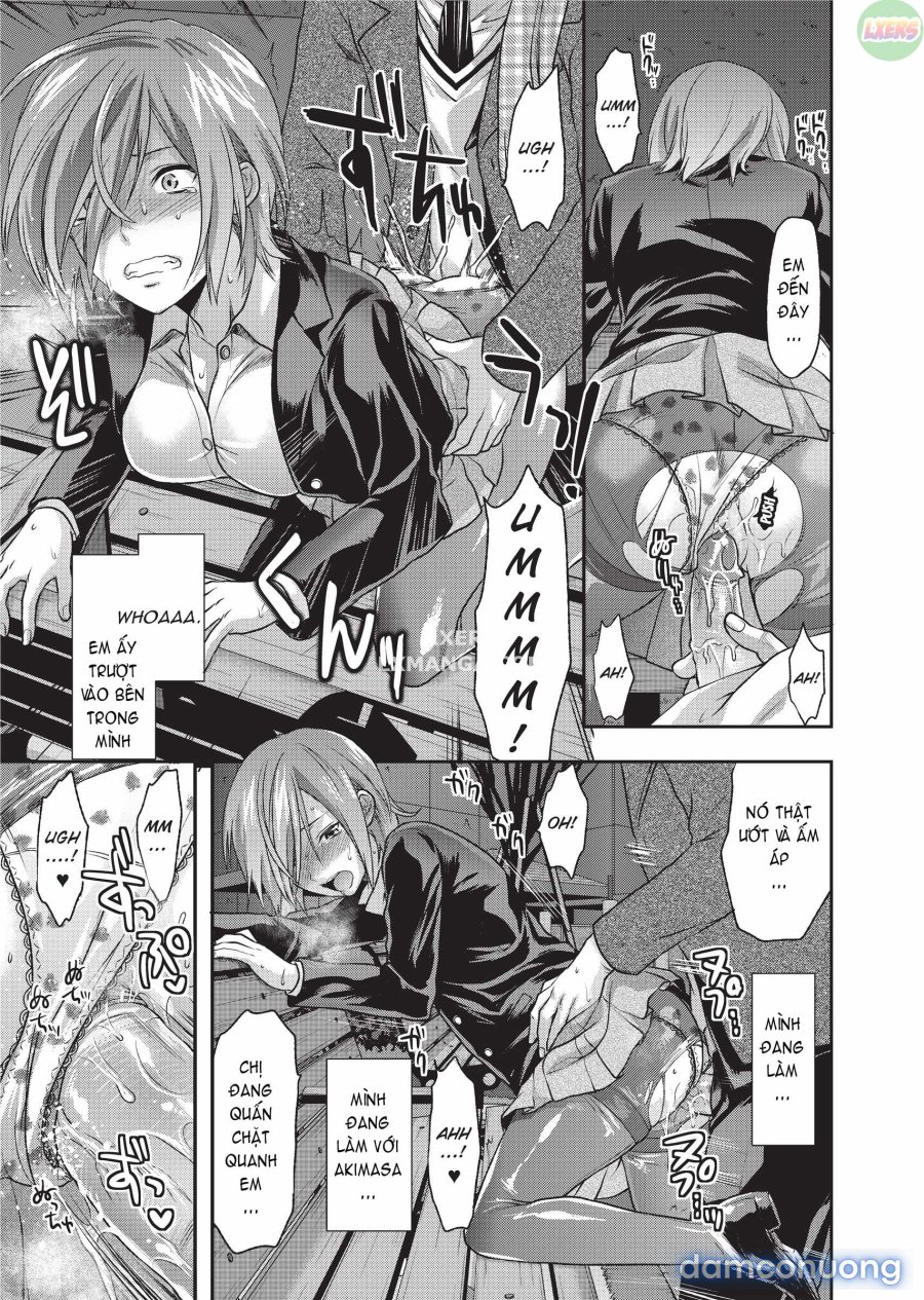 Ane Koi 