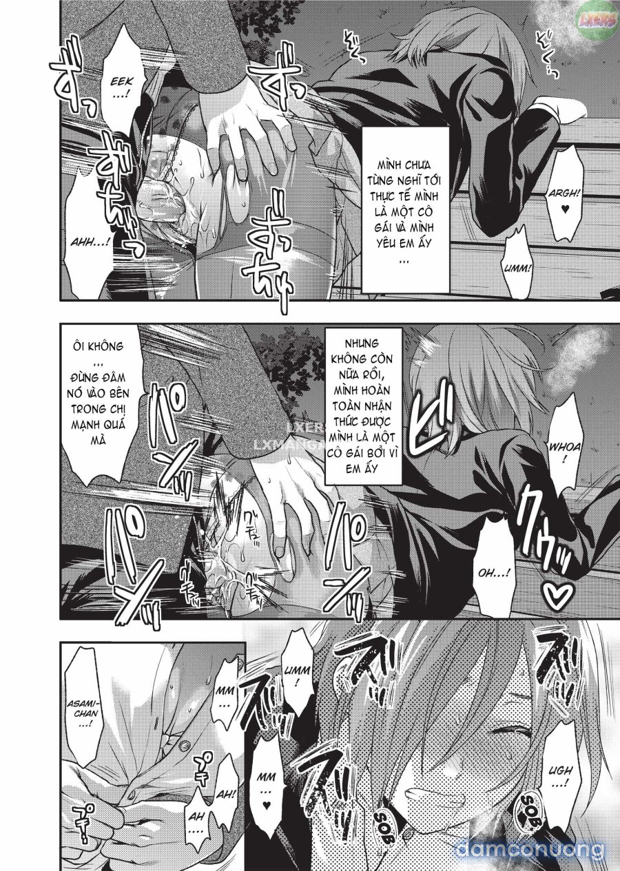 Ane Koi 