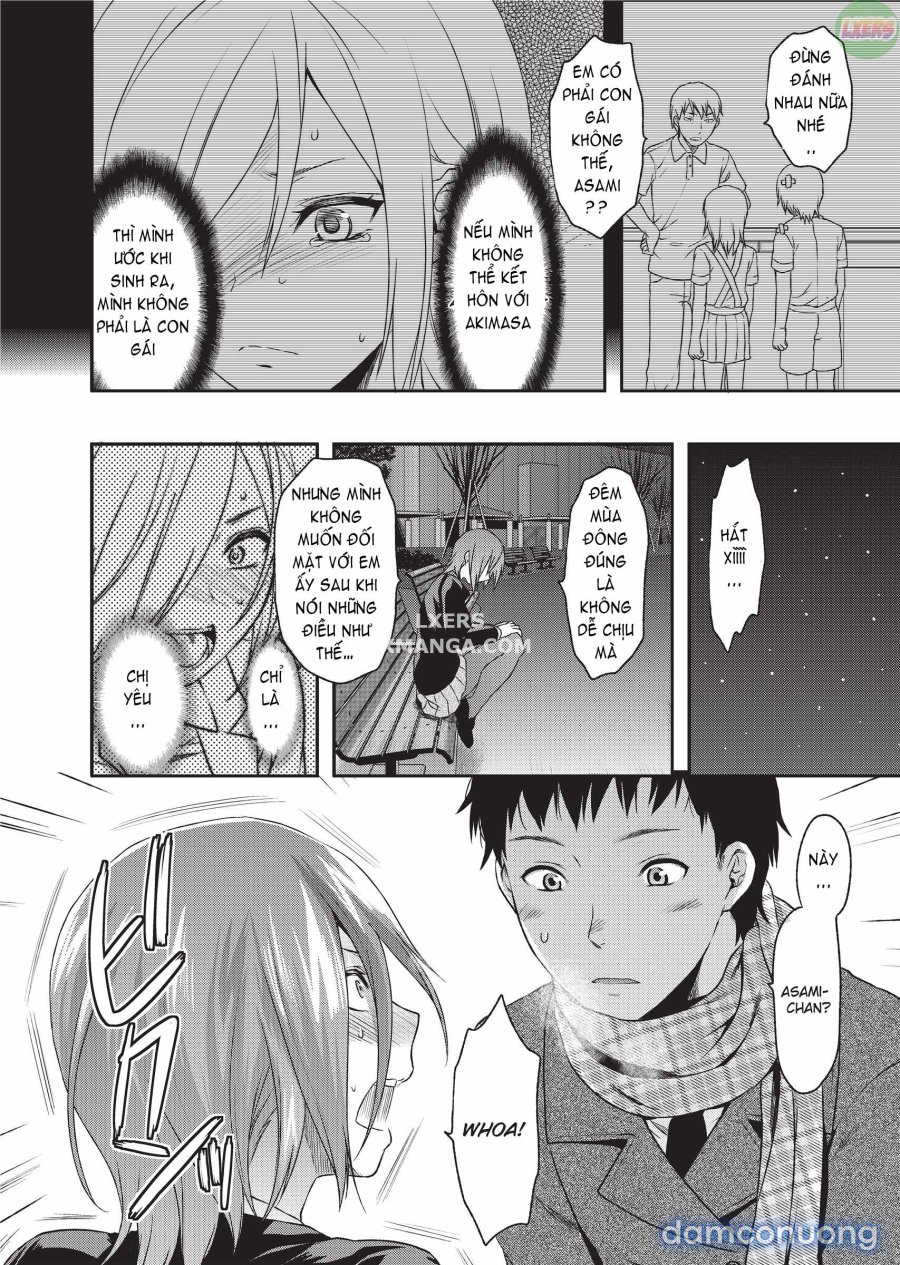 Ane Koi 