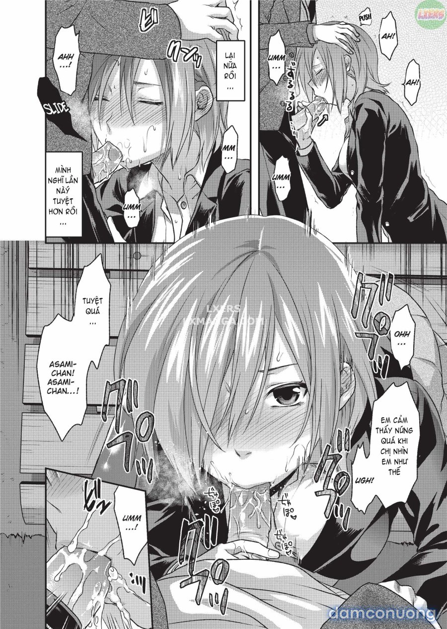 Ane Koi 