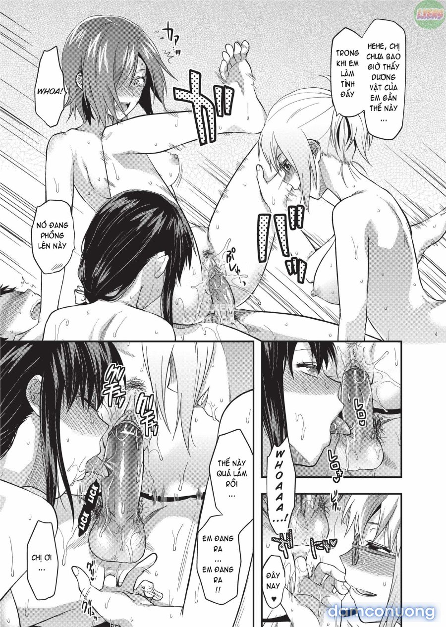 Ane Koi 