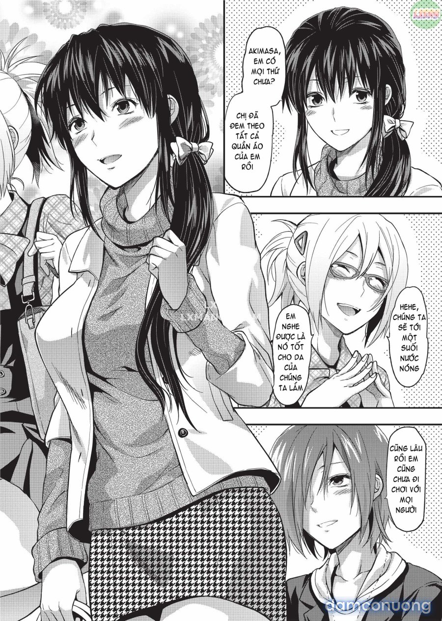 Ane Koi 