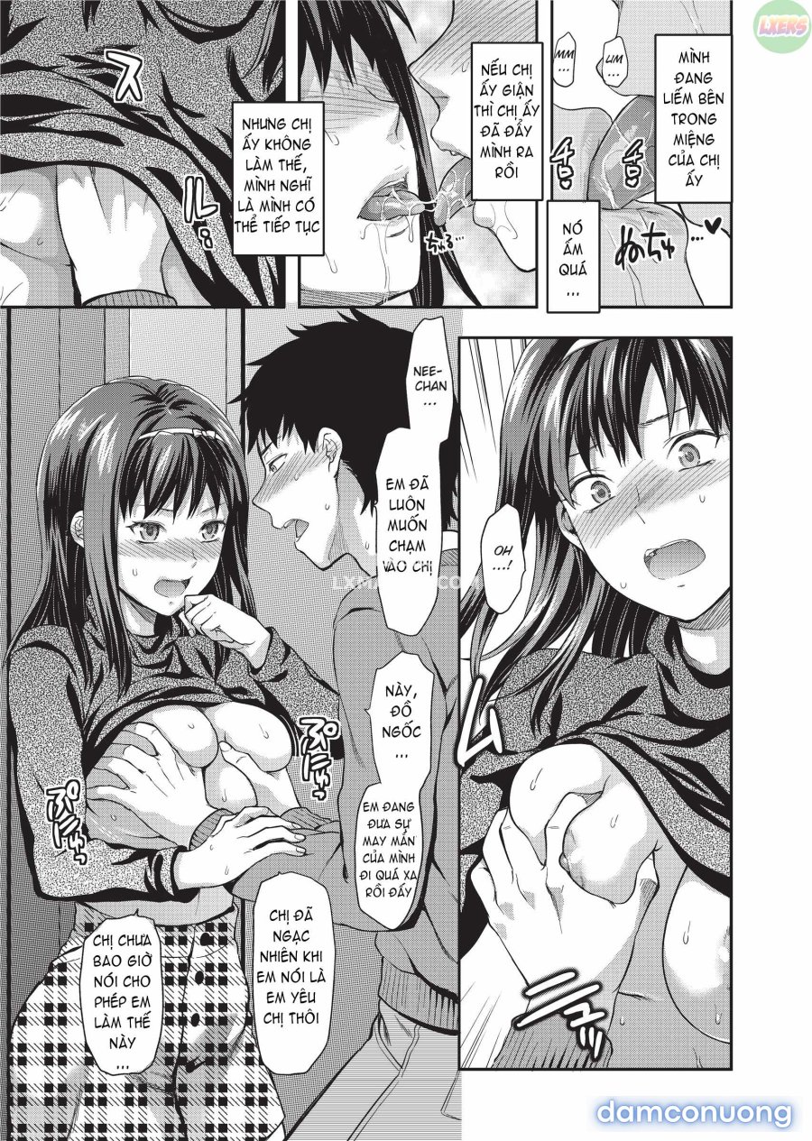 Ane Koi 