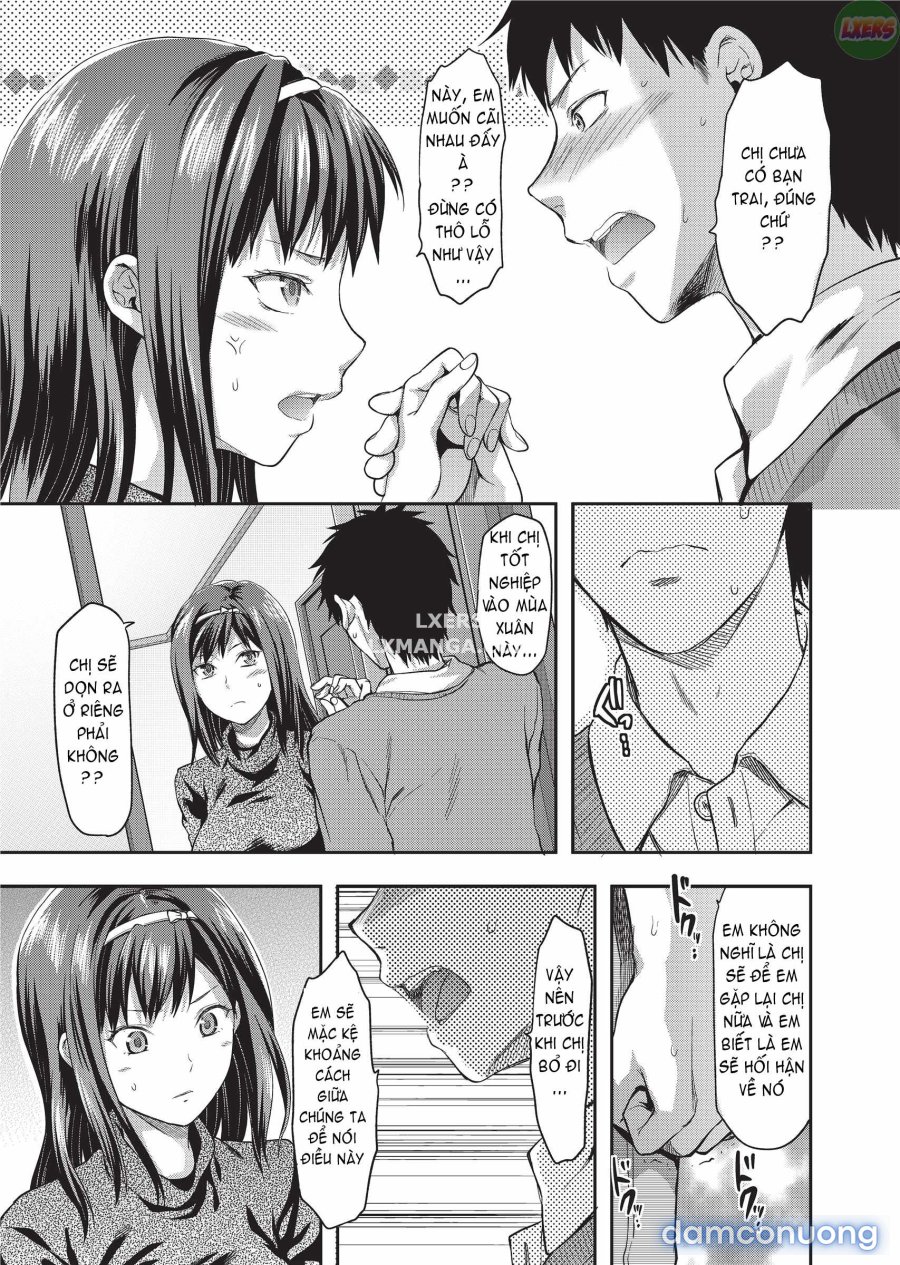 Ane Koi 