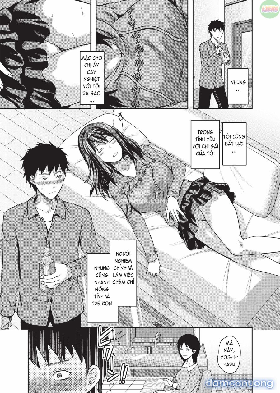 Ane Koi 