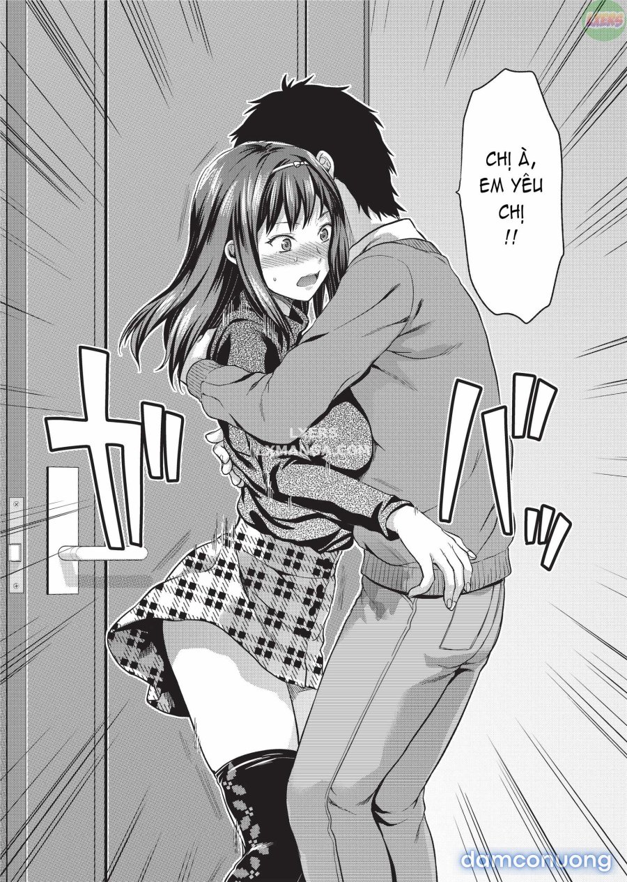 Ane Koi 