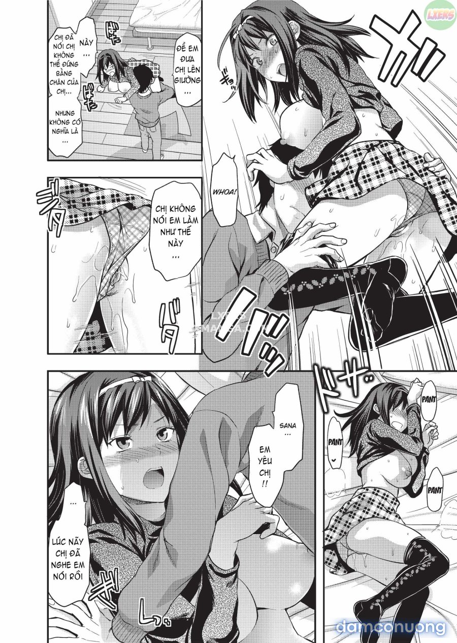 Ane Koi 