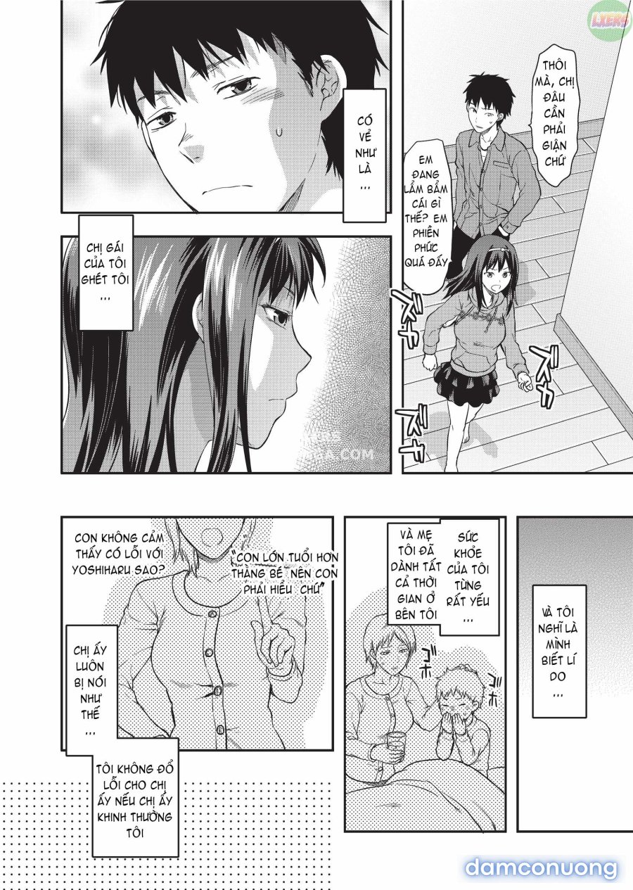 Ane Koi 
