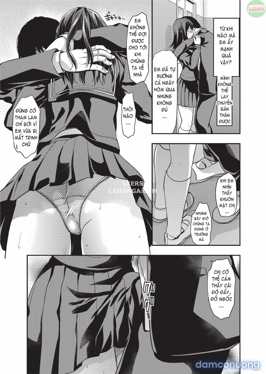 Ane Koi 