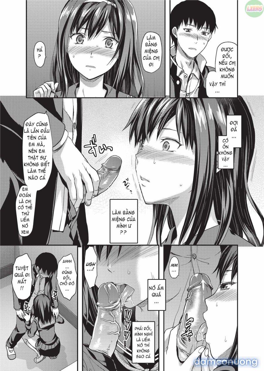 Ane Koi 