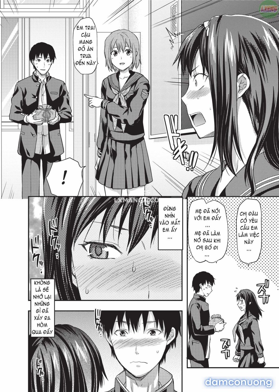 Ane Koi 