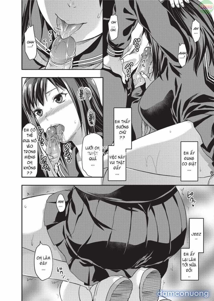 Ane Koi 