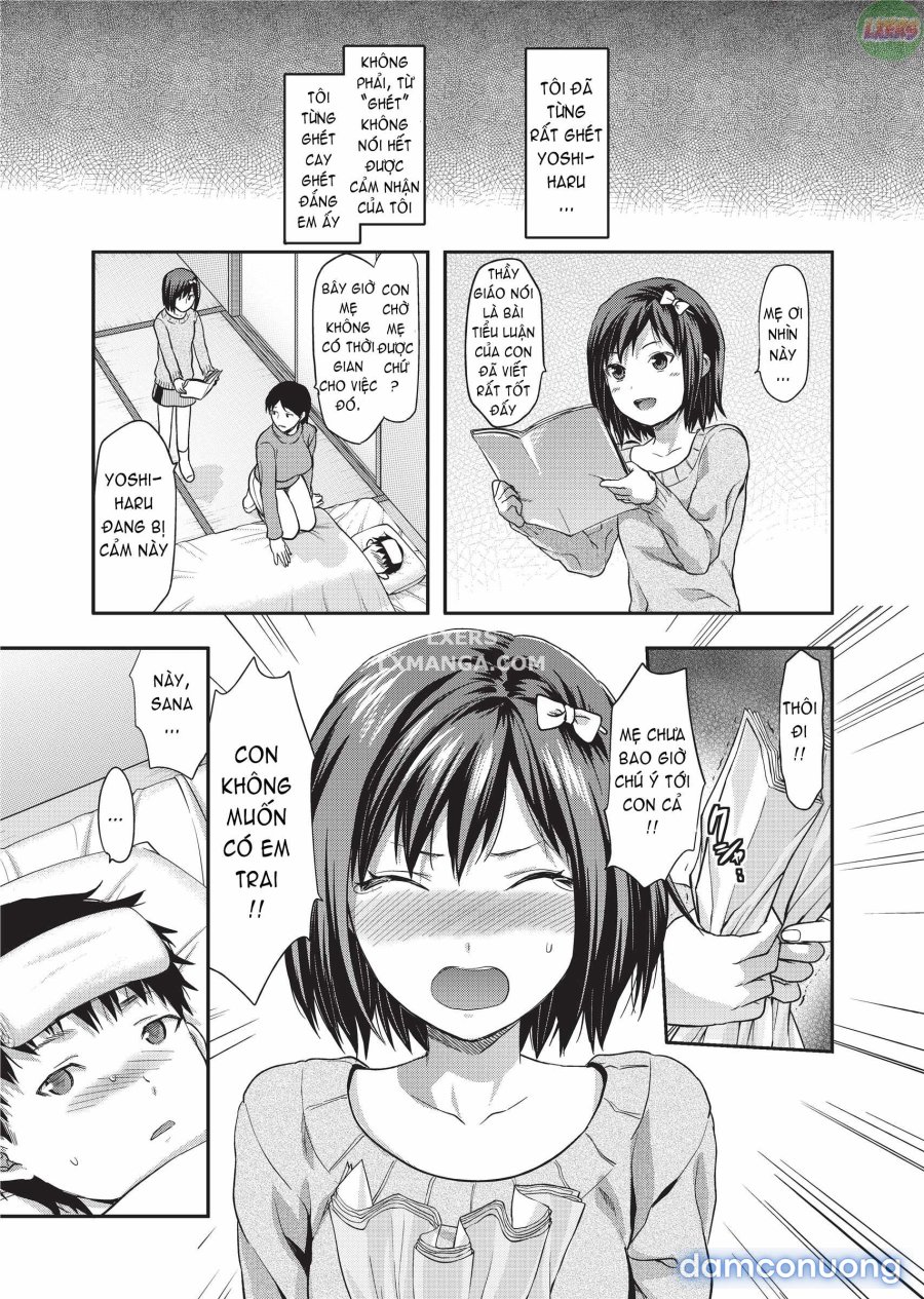 Ane Koi 