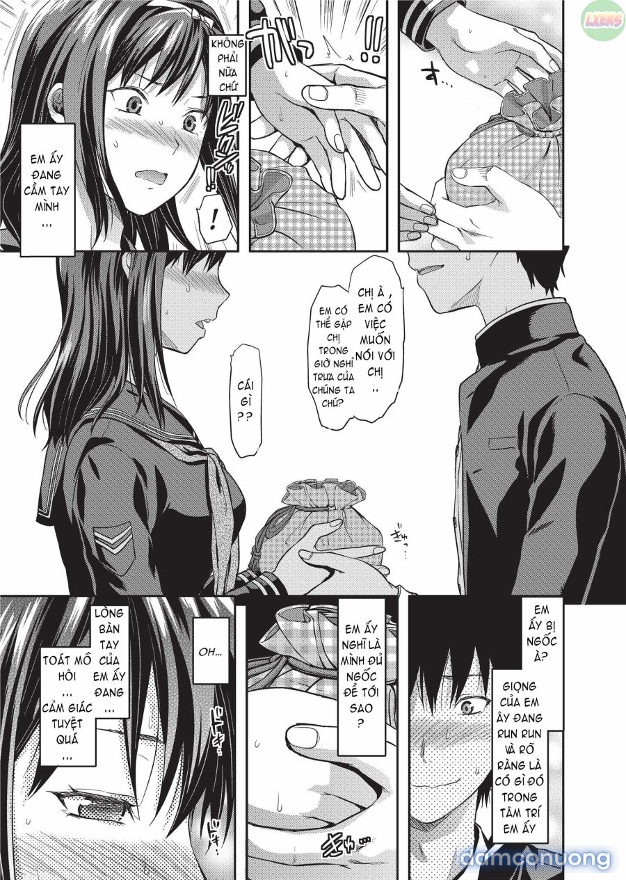Ane Koi 
